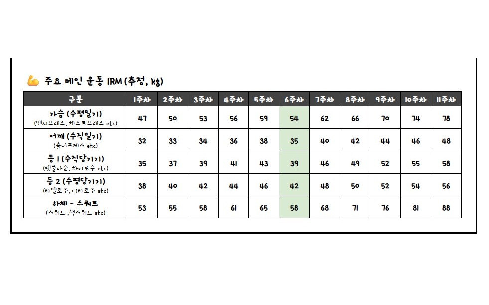 주요 메인 운동 1RM 추정 표